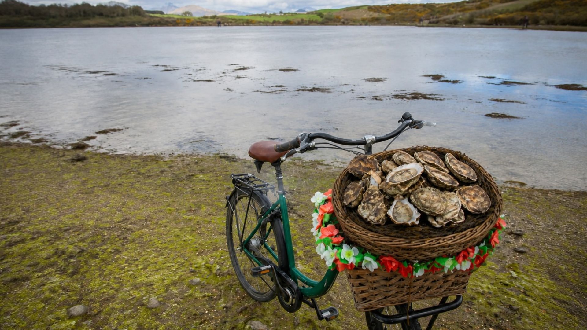 oyster_bike_tour_pn_bike